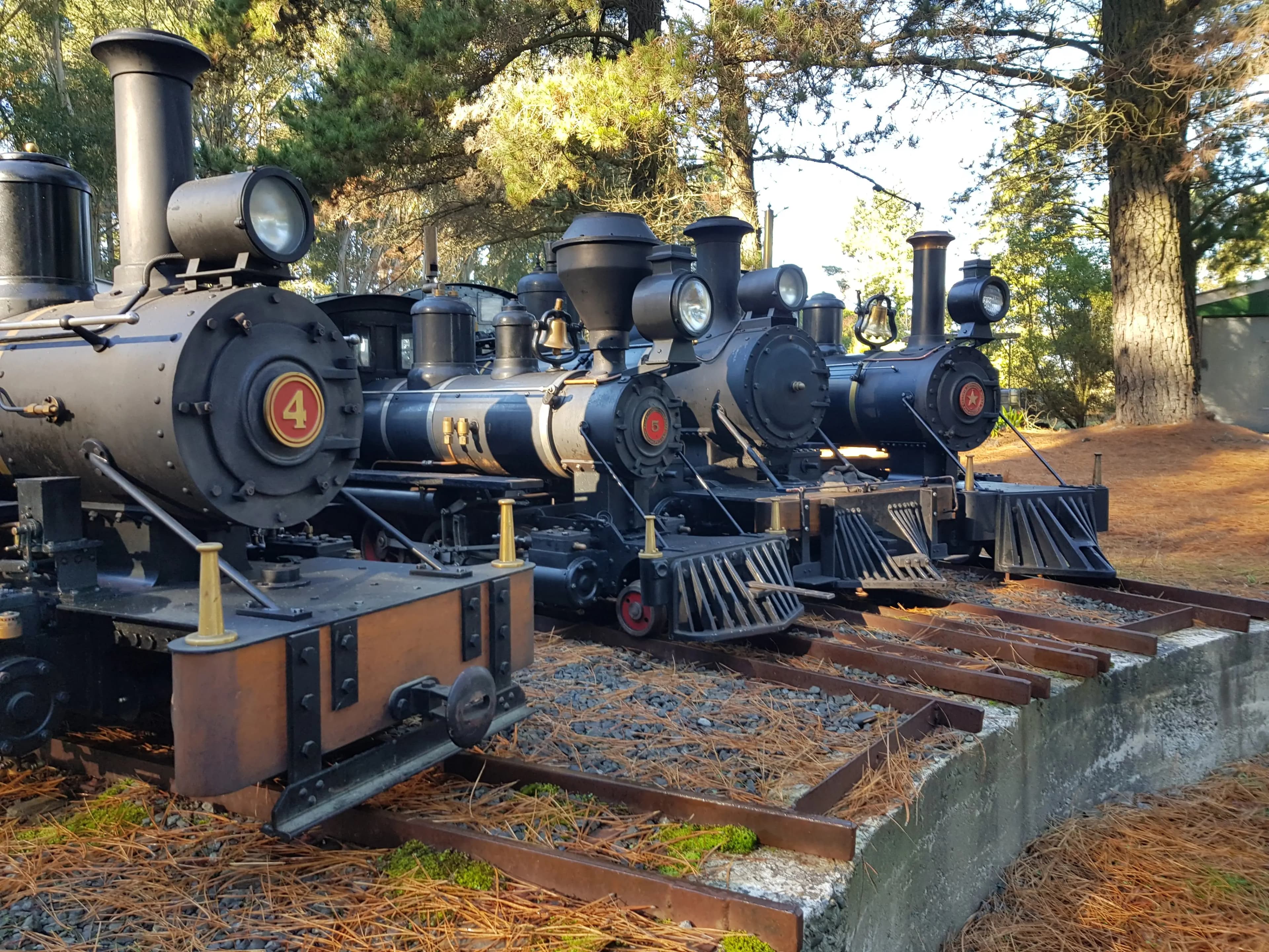 The grounds at Christchurch Live Steamers, McLeans Island