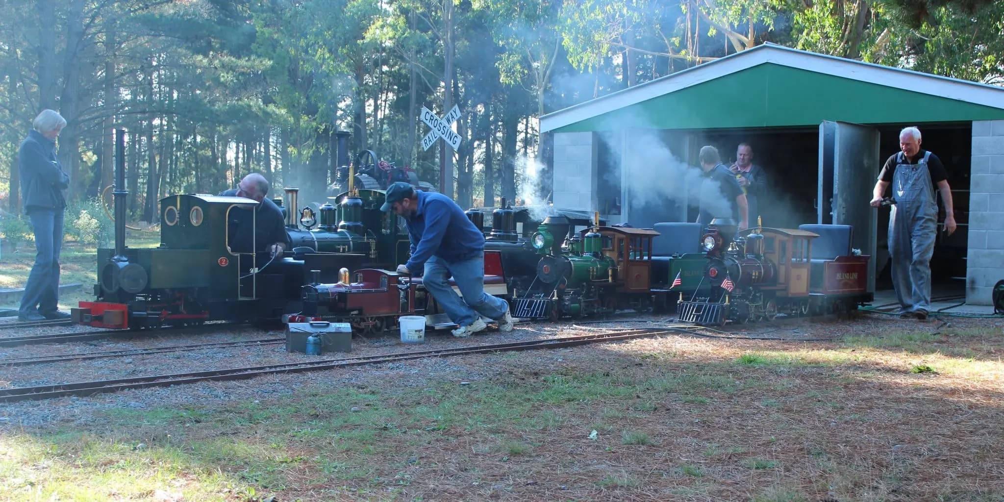 A live steam locomotive running on the track at McLeans Island