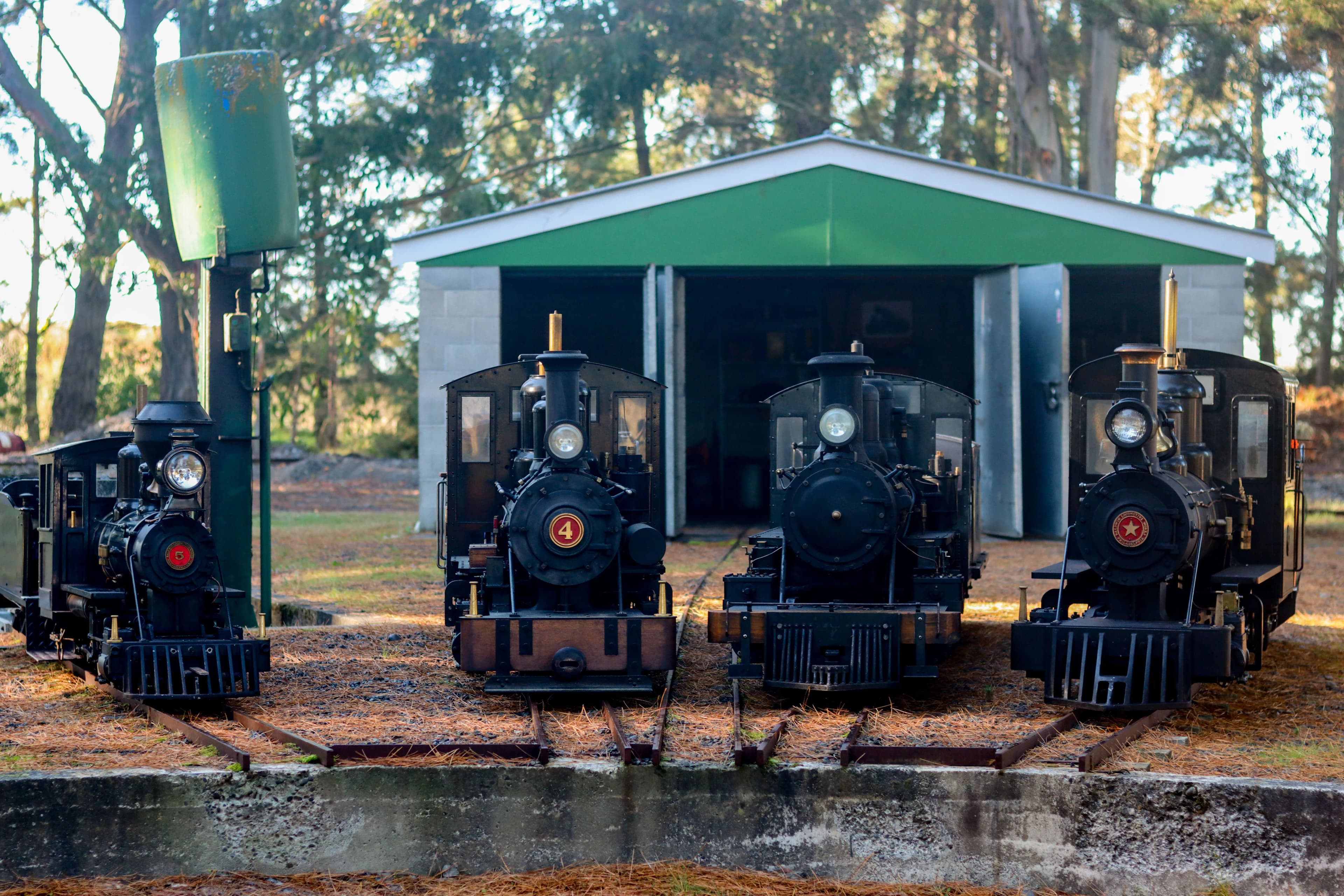 A group enjoying the grounds at Christchurch Live Steamers